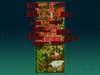 七龙珠